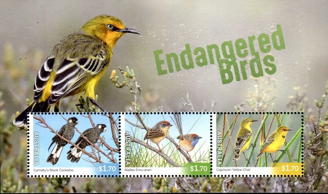 [Endangered Birds, type ]