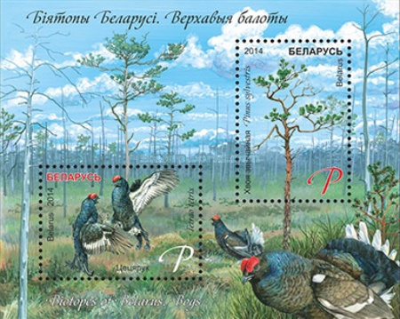 [Biotopes of Belarus, type ]