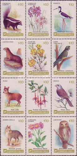 [Flora and Fauna, type ]