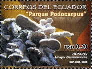 [Podocarpus National Park, type DEE]
