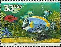 [Aquarium Fish - Self-Adhesive, type DFO]