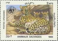 [WWF - Leopard, type ADH]