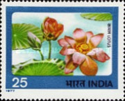 [Indian Flowers, type TX]