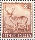 [Local Motifs, type HE]