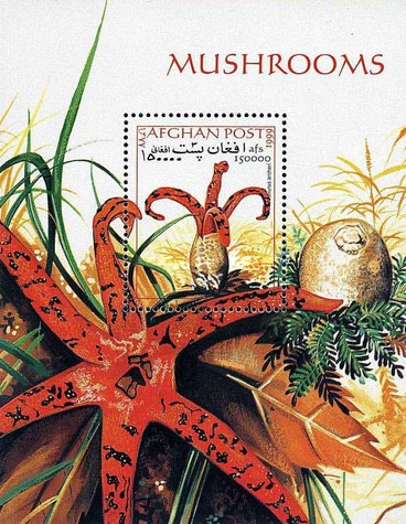 [Mushrooms, type ]