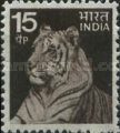 [Local Motifs, type PG]