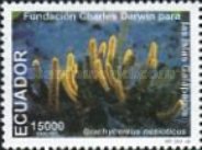[Charles Darwin Galapagos Islands Protection Foundation, type CLP]