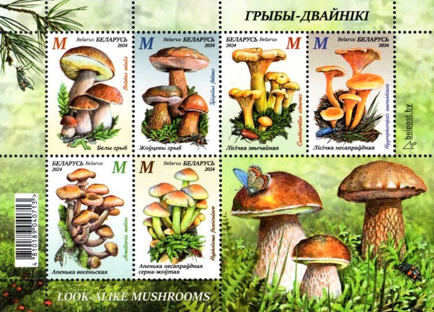 [Look-alike Mushrooms, type ]