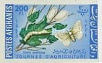 [Day of Agriculture, type JQ9]