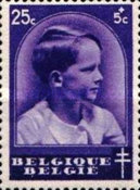 [The struggle against Tuberculosis, type FS1]