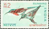 [Birds, type KC]