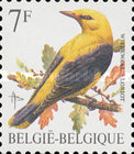 [Birds, type BSB]