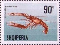 [Marine Life, type XER]