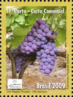 [Mercosul - Export Products - Fruit, type EEF]