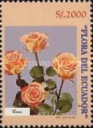 [Flowers, type CJY]