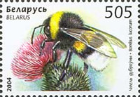 [Insects - Wasp & Bumblebee, type SH]