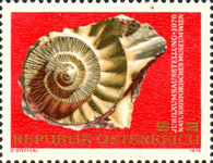 [Anniversary Exhibit of the Natural History Museum, Vienna, type ANK]