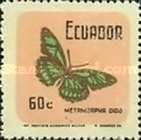 [Butterflies, type BAW]