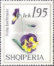 [Violets, type AGQ]