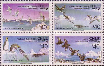 [Antarctic Fauna - Sea Birds, type ]