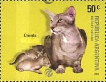 [Domestic Felines, type CYJ]
