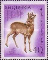 [European Roe Deer, type AAR]