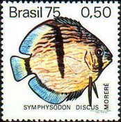 [Freshwater Fish, type BCU]