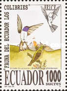 [Hummingbirds, type CHB]