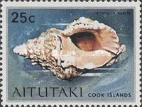 [Sea Shells and Corals, type CO]