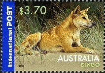 [Australian Native Wildlife, type CMD]