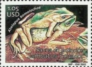 [Frogs, type CSY]