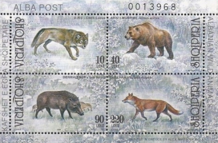 [Wild Animals, type ]