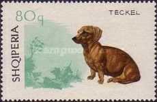 [Dogs, type YH]