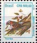 [Birds, type CSX]
