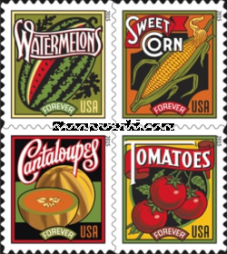 [Summer Harvest, type ]