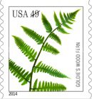 [Flora - Ferns, type GLA]