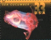 [Deep Sea Creatures, type DNH]