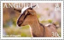 [Goats of Anguilla, type AUH]