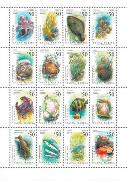 [Marine Life, type ]