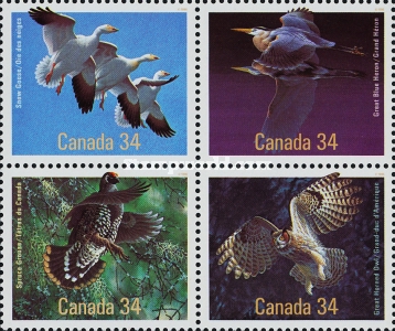 [Birds of Canada, type ]