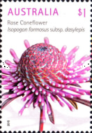 [Wildflowers, type EFI]