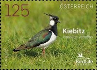 [Fauna - Northern Lapwing, type EGU]