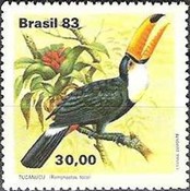[Toucans, type BVH]