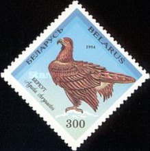 [Rare Birds of Belarus, type AE2]