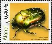 [Insects - Beetles, type IS]