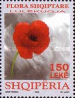 [Flowers, type CVN]