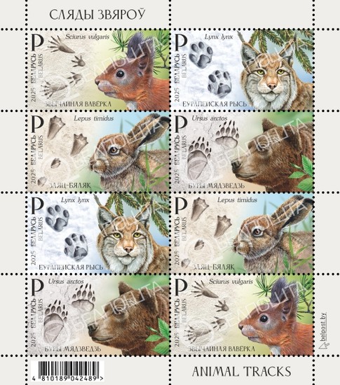 [Animal Tracks, type ]