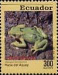 [Frogs, type CDS]