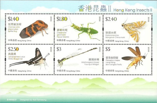 [Fauna - Hong Kong Insects, type ]