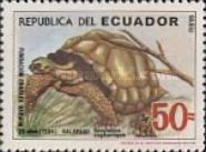 [Galapagos Islands, type BVX]